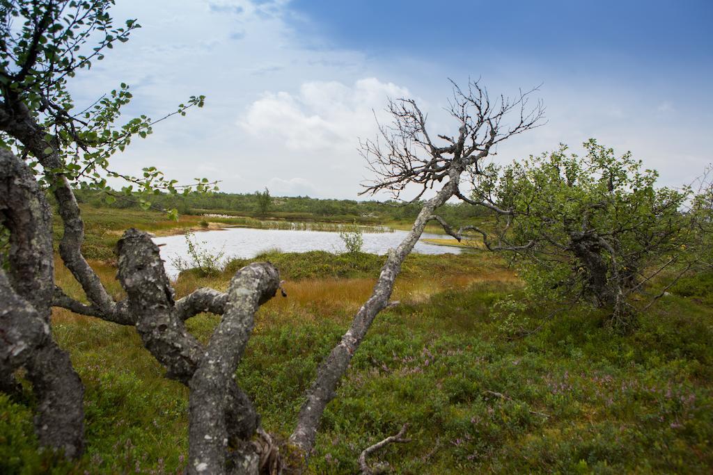 Fulufjaellsgarden Mörkret Exterior foto